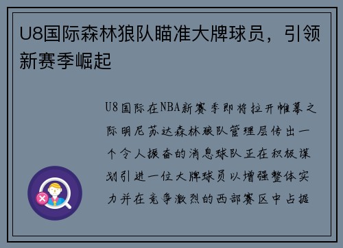 U8国际森林狼队瞄准大牌球员，引领新赛季崛起