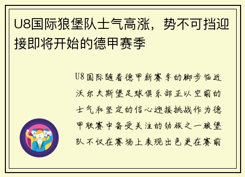 U8国际狼堡队士气高涨，势不可挡迎接即将开始的德甲赛季